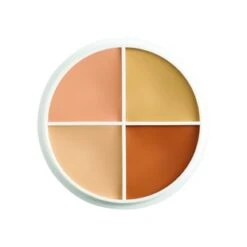 Ben Nye Tattoo Cover-All Wheel (compact)