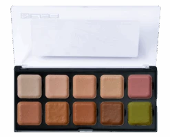 Encore™ Alcohol Activated Palette - Skin Cover Up