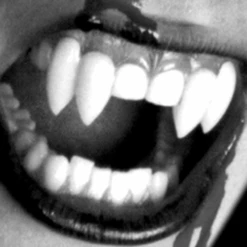 Scarecrow Shredder Double Vampire Fangs | Vampiertanden -Superstar Winkel scarecrow shredder double vampire fangs vampiertanden