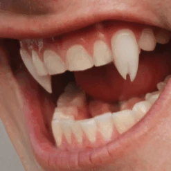 Scarecrow Viper Split Deluxe Vampire Fangs | Vampiertanden -Superstar Winkel scarecrow viper split deluxe vampire fangs vampiertanden20b41